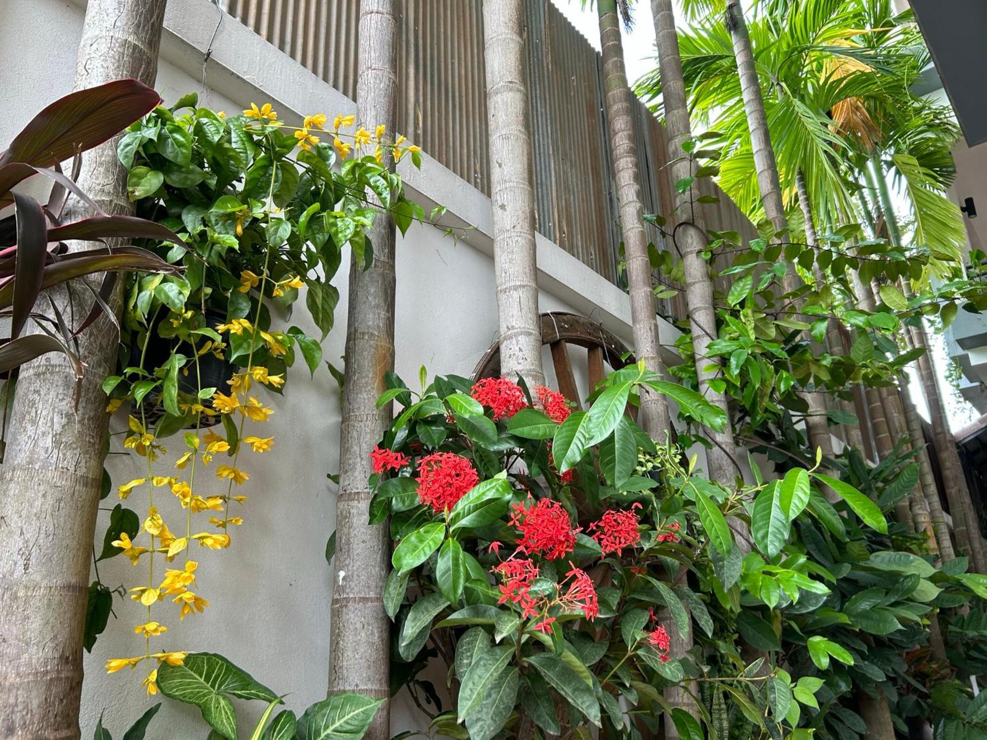 Sunset View Guest House Siem Reap Exteriör bild